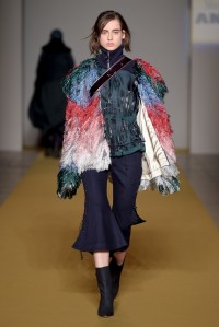 Angel Chen RTW Fall 2017