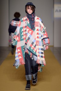 Angel Chen RTW Fall 2017