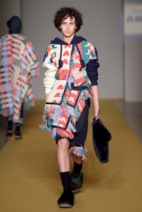 Angel Chen RTW Fall 2017