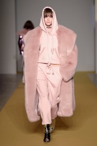 Angel Chen RTW Fall 2017