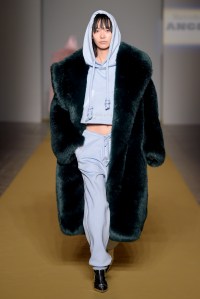 Angel Chen RTW Fall 2017