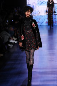 Anna Sui RTW Fall 2017