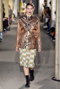 Arthur Arbesser RTW Fall 2017