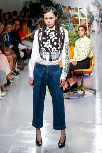 Ashley Williams RTW Fall 2017