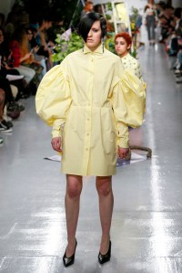 Ashley Williams RTW Fall 2017