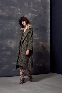 Audra RTW Fall 2017