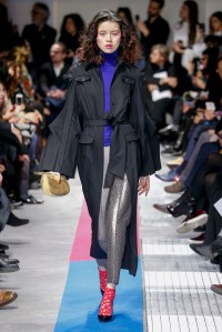 Capucci RTW Fall 2017