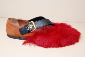 Car Shoe