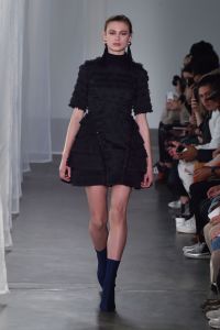 CG RTW fall 2017