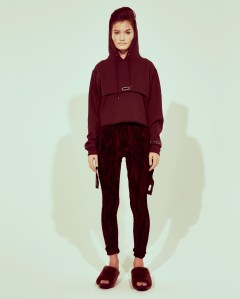 Collina Strada RTW Fall 2017