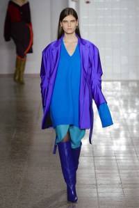Erika Cavallini RTW Fall 2017