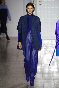Erika Cavallini RTW Fall 2017