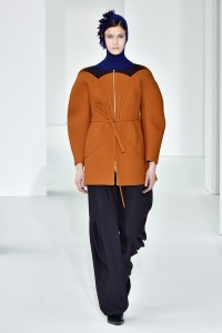 Delpozo RTW Fall 2017