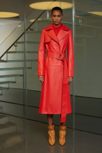 Derek Lam RTW Fall 2017