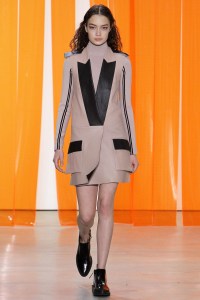 Dion Lee RTW Fall 2017