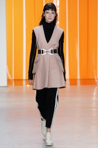 Dion Lee RTW Fall 2017
