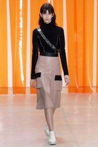 Dion Lee RTW Fall 2017