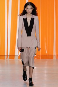 Dion Lee RTW Fall 2017