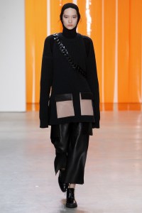 Dion Lee RTW Fall 2017