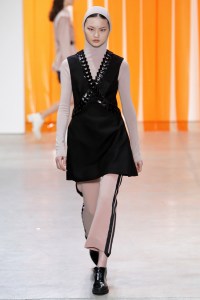 Dion Lee RTW Fall 2017