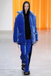 Dion Lee RTW Fall 2017