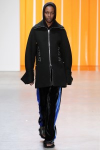 Dion Lee RTW Fall 2017