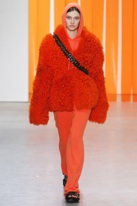 Dion Lee RTW Fall 2017