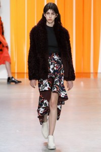 Dion Lee RTW Fall 2017