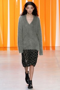 Dion Lee RTW Fall 2017