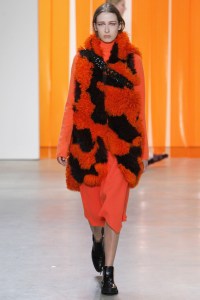 Dion Lee RTW Fall 2017