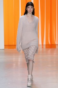 Dion Lee RTW Fall 2017
