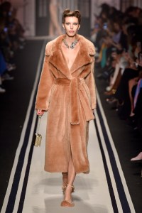 Elisabetta Franchi RTW Fall 2017