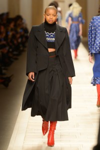 Fendi RTW Fall 2017