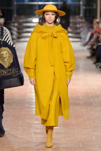 Alberta Ferretti RTW Fall 2017