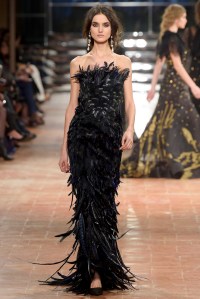 Alberta Ferretti RTW Fall 2017