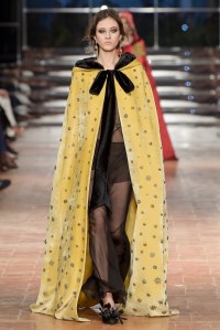 Alberta Ferretti RTW Fall 2017