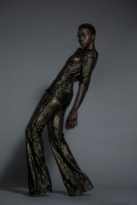 Frederick Anderson RTW Fall 2017