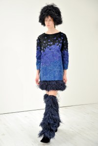 Gianluca Capannolo RTW fall 2017