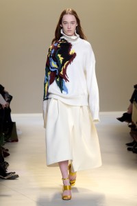 Krizia RTW Fall 2017