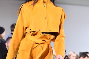 Detail of Lacoste RTW Fall 2017
