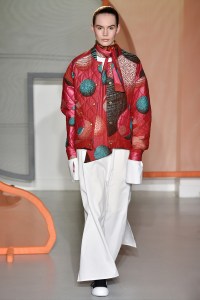 Liselore Frowijn RTW Fall 2017