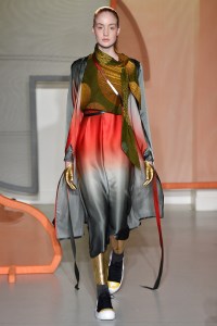 Liselore Frowijn RTW Fall 2017