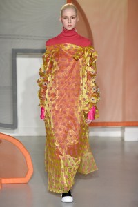Liselore Frowijn RTW Fall 2017