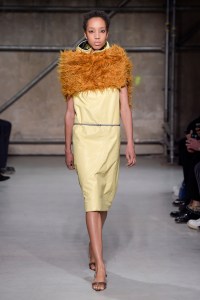 Marni RTW Fall 2017