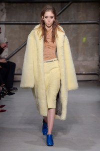 Marni RTW Fall 2017