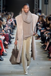 Max Mara RTW Fall 2017