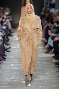 Max Mara RTW Fall 2017
