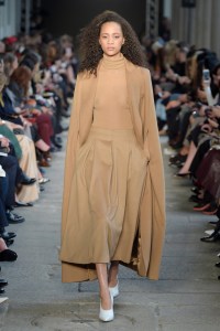 Max Mara RTW Fall 2017