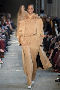 Max Mara RTW Fall 2017