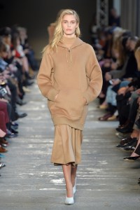 Max Mara RTW Fall 2017